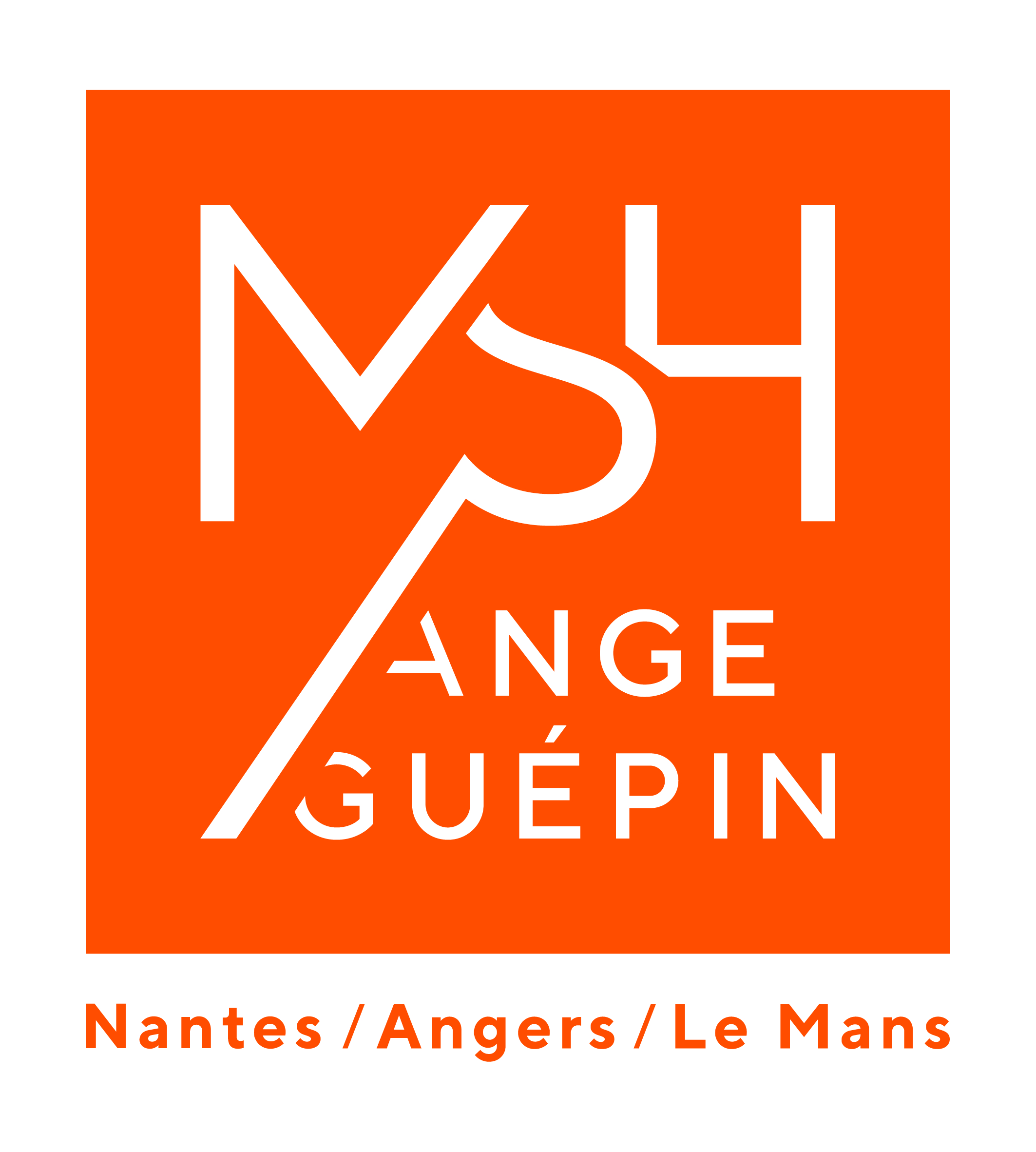 MSH Ange-Guépin